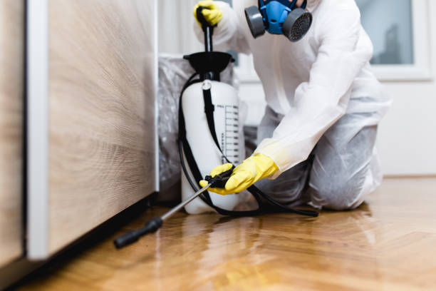 Best Pest Removal Services  in Winnie, TX