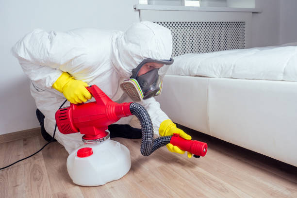 Best Local Pest Control Services  in Winnie, TX